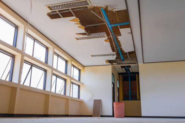 Best 24-hour water damage restoration  in Beachwood, NJ