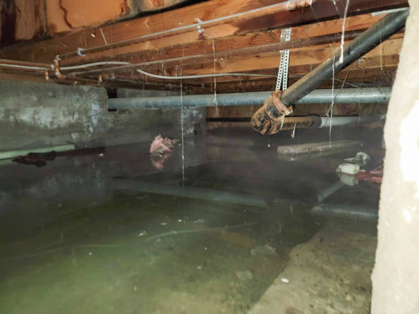 Professional Water damage restoration in NJ