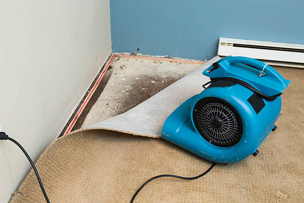 Best Professional water damage repair  in Beachwood, NJ